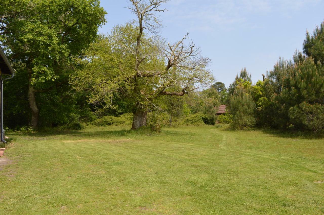La Suite Du Bucheron Laharie Exteriér fotografie